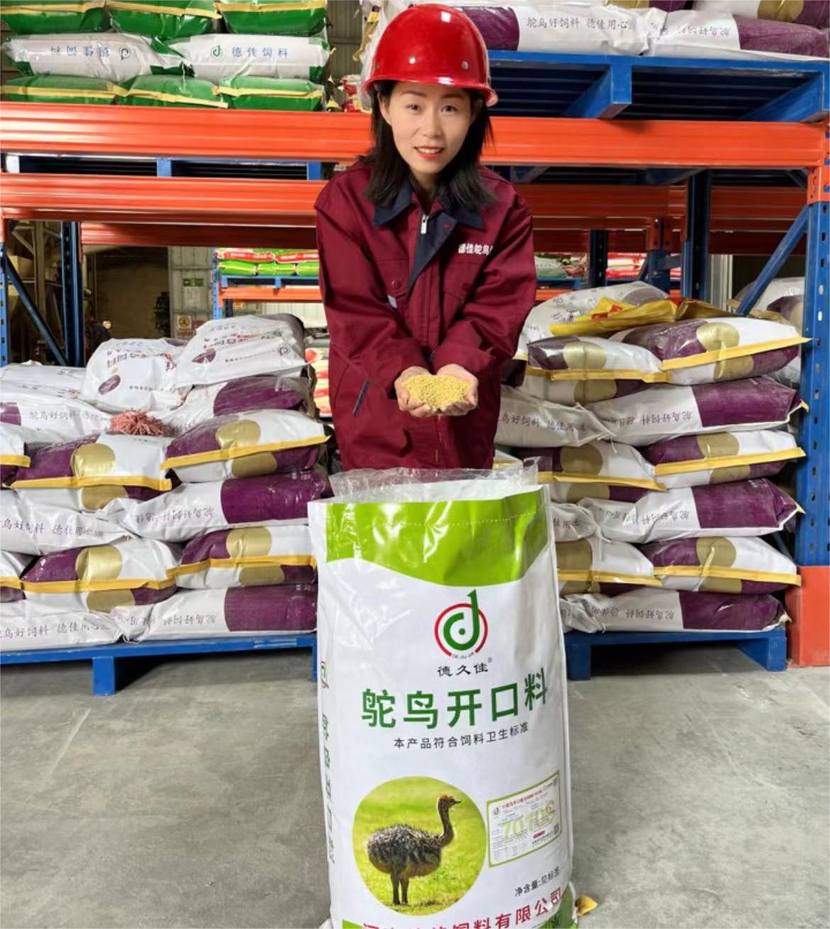 創(chuàng)新領(lǐng)先的河南德佳7010S飼料，讓您的小鴕鳥(niǎo)健康成長(zhǎng)無(wú)憂(yōu)慮！